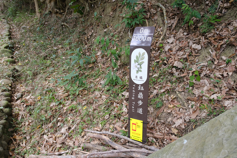 【台南鈺鼎步道.糖子恩山】一覽南化水庫美景，挑戰1470階也值得！