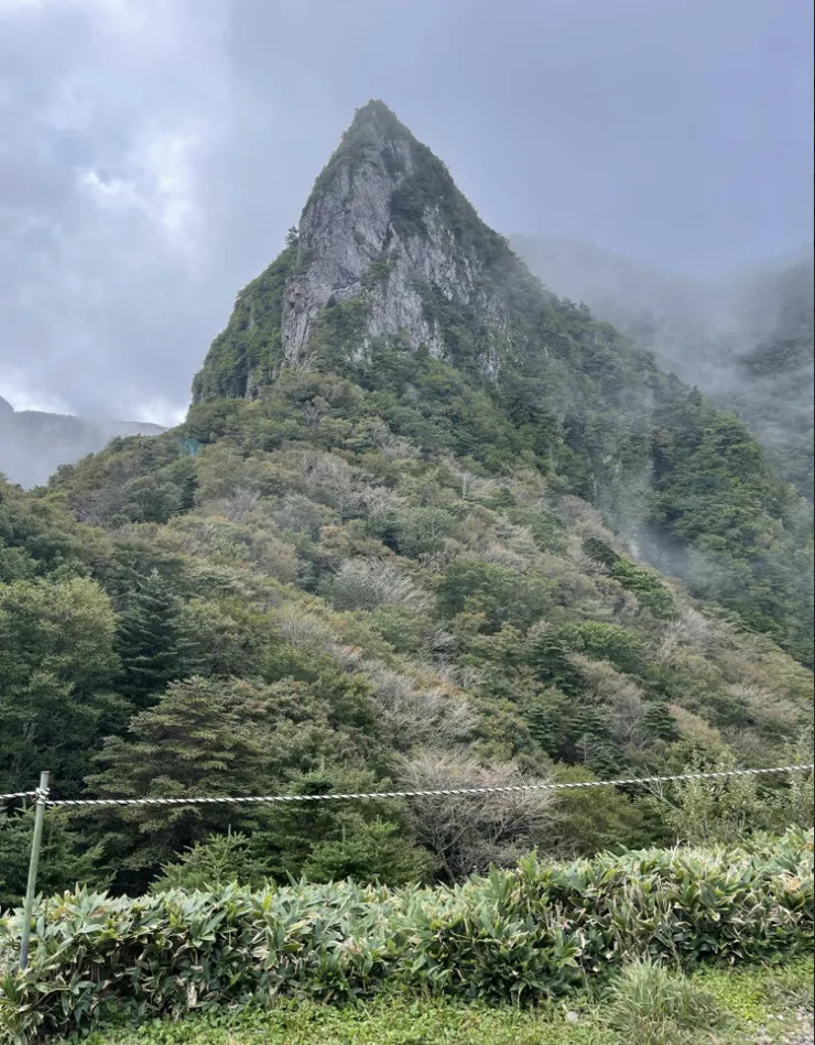 濟州島跑步環島 (09/22-09/28) - 315.9公里