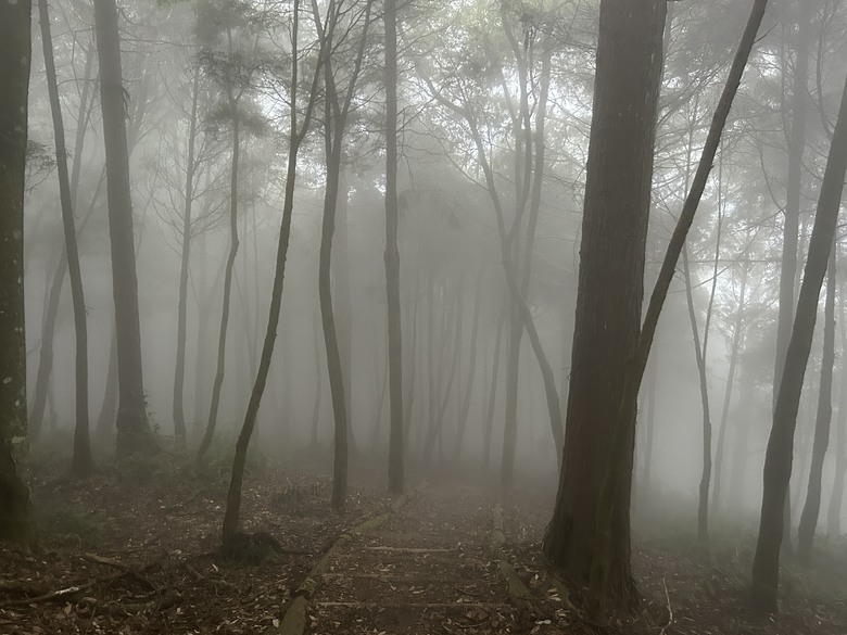 苗 栗 最 高 峰 加 里 山 ( 台 版 富 士 山 )