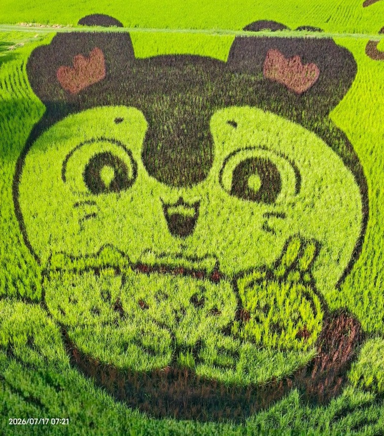 台東熱氣球順遊推薦!關山吉伊卡哇彩繪稻田免費看到9月!