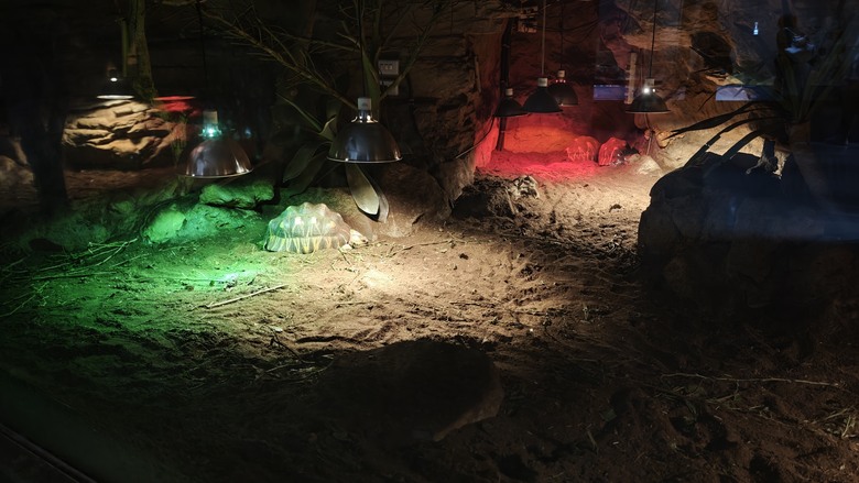 另類的父親節 - 台北市立動物園 "夜之動物園" 遊記分享~