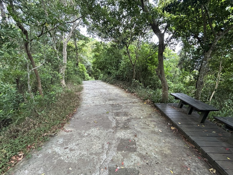 搭 捷 運 登 走 劍 潭 山 親 山 步 道