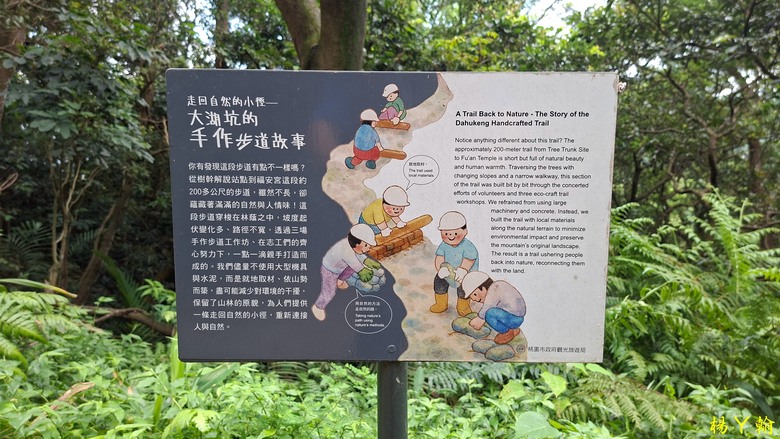 【微笑山線】全新登山步道，大湖之森自然步道，輕鬆健行享受森林浴