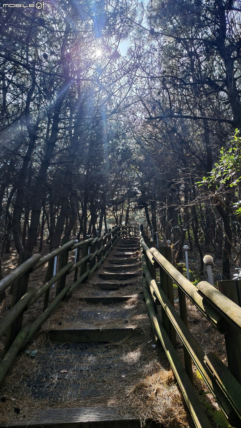 韓國濟州島 | 跳島行程 | 牛島單車環島輕鬆騎