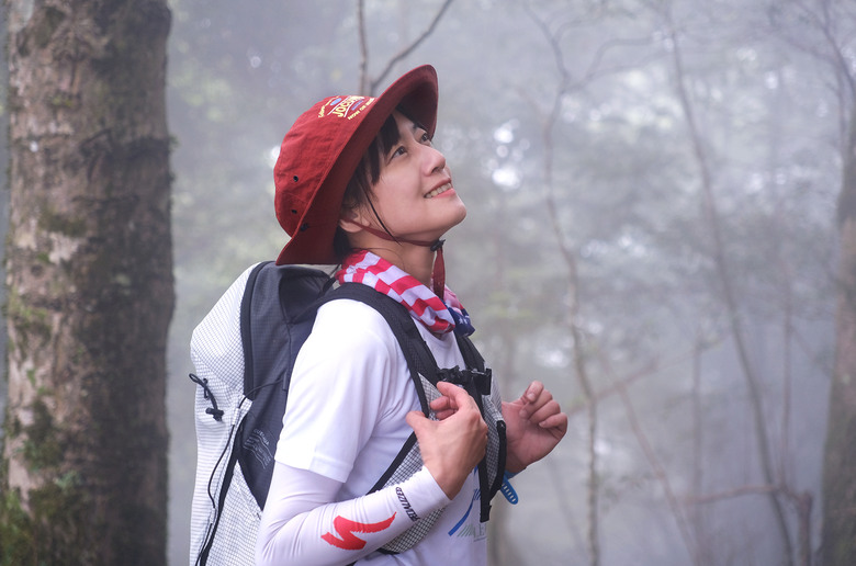【高島縱走】走進六星級柳杉森林，一日高台山與島田三山