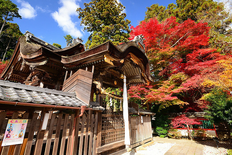 2016 - 秋 - 一個人的旅行 日本關西地區
