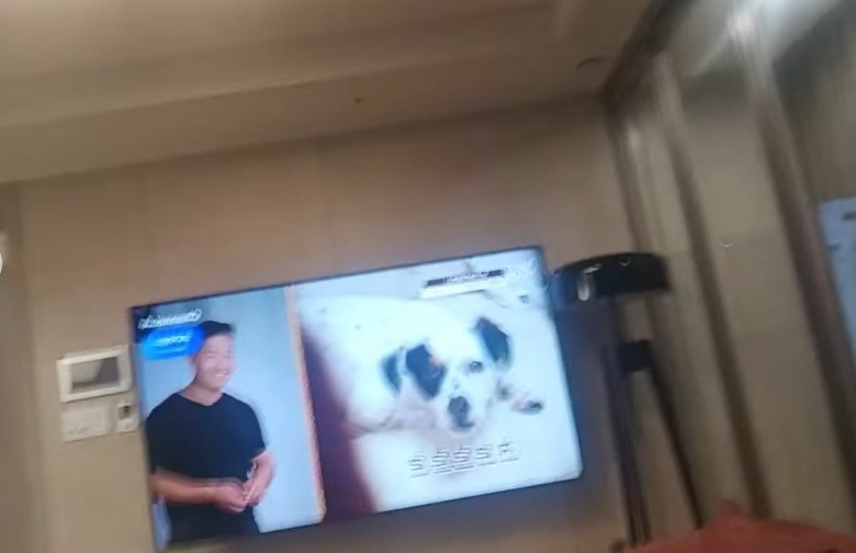 慘!台灣年輕人瘋狂湧入釜山~鬼島沒人要去玩~難怪內需收入差一倍