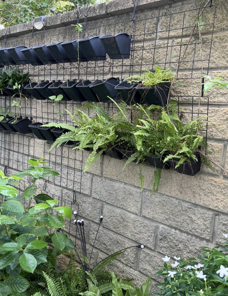 沙鹿園藝綠植牆diy掛盆+鐵架有人要嗎？