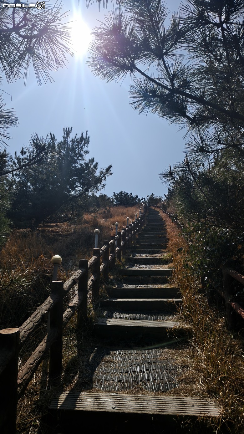 韓國濟州島 | 跳島行程 | 牛島單車環島輕鬆騎