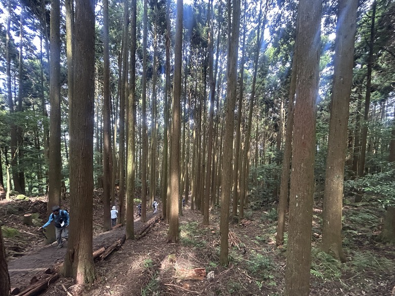 苗 栗 最 高 峰 加 里 山 ( 台 版 富 士 山 )