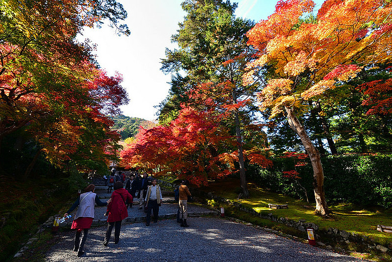 2016 - 秋 - 一個人的旅行 日本關西地區