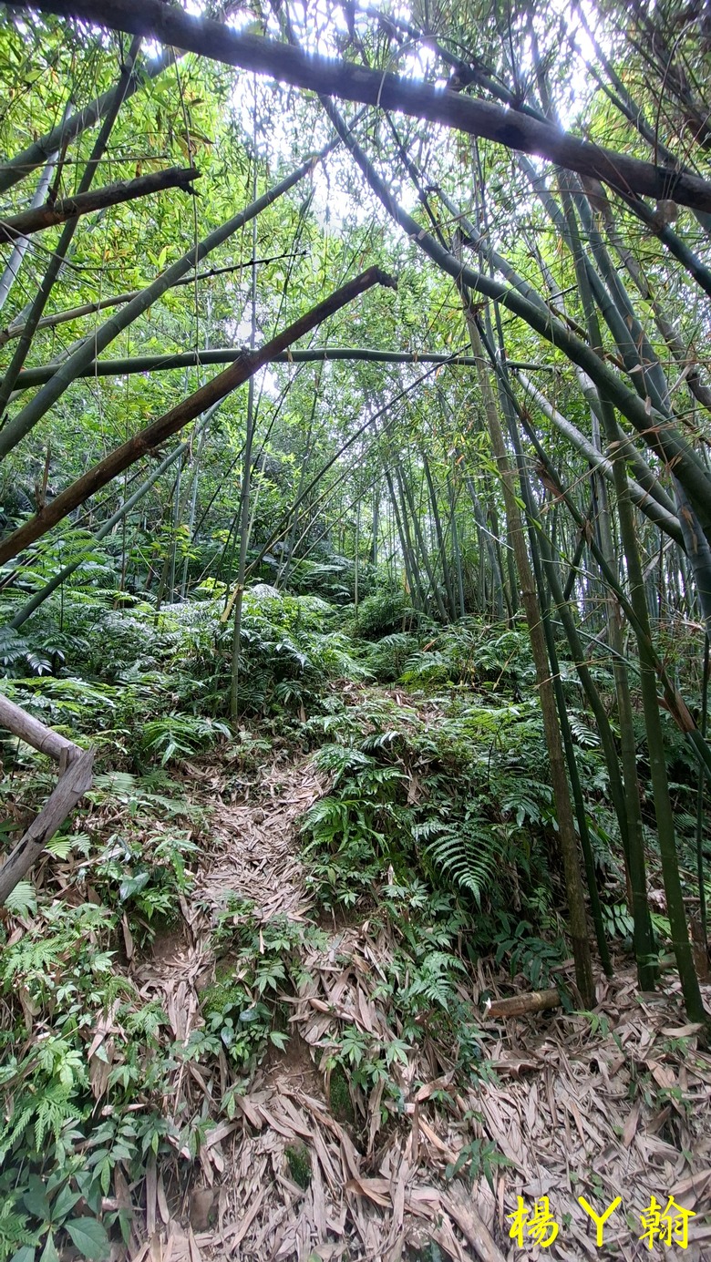 【郊山走走】走上山,近於水:登上戰略要地枕頭山,探尋依山傍水的薑母島