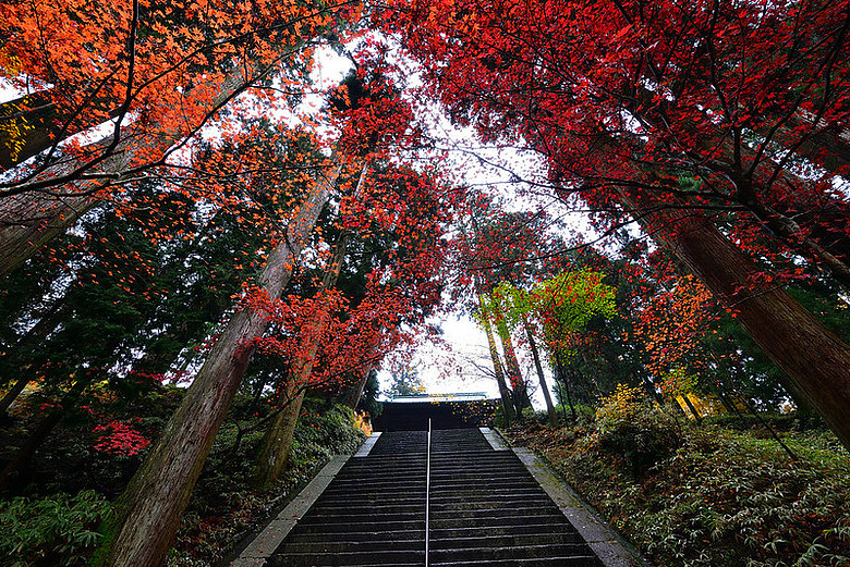2016 - 秋 - 一個人的旅行 日本關西地區