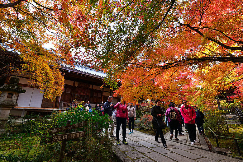 2016 - 秋 - 一個人的旅行 日本關西地區