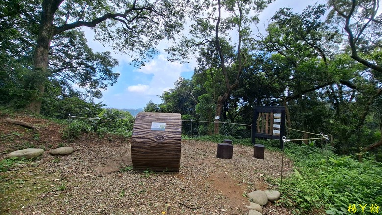 【微笑山線】全新登山步道，大湖之森自然步道，輕鬆健行享受森林浴