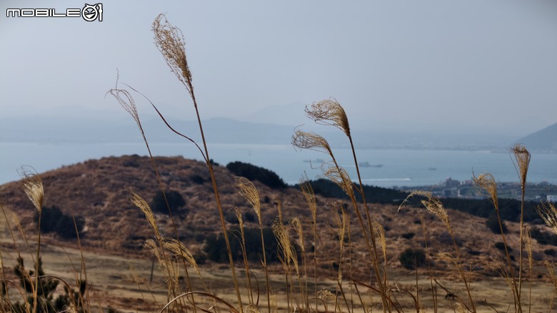 韓國濟州島 | 跳島行程 | 牛島單車環島輕鬆騎