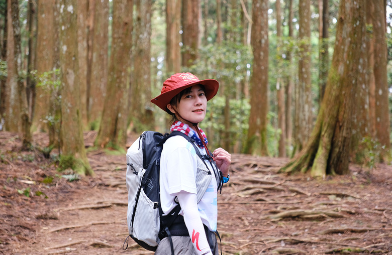【高島縱走】走進六星級柳杉森林，一日高台山與島田三山