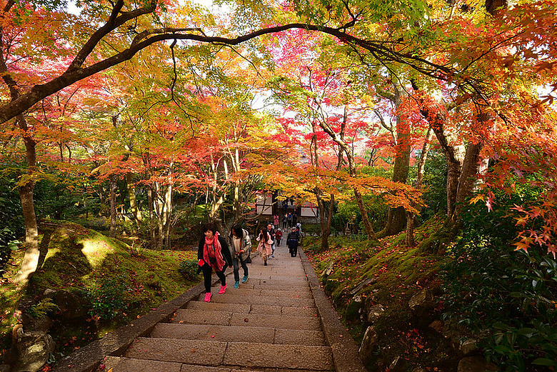 2016 - 秋 - 一個人的旅行 日本關西地區