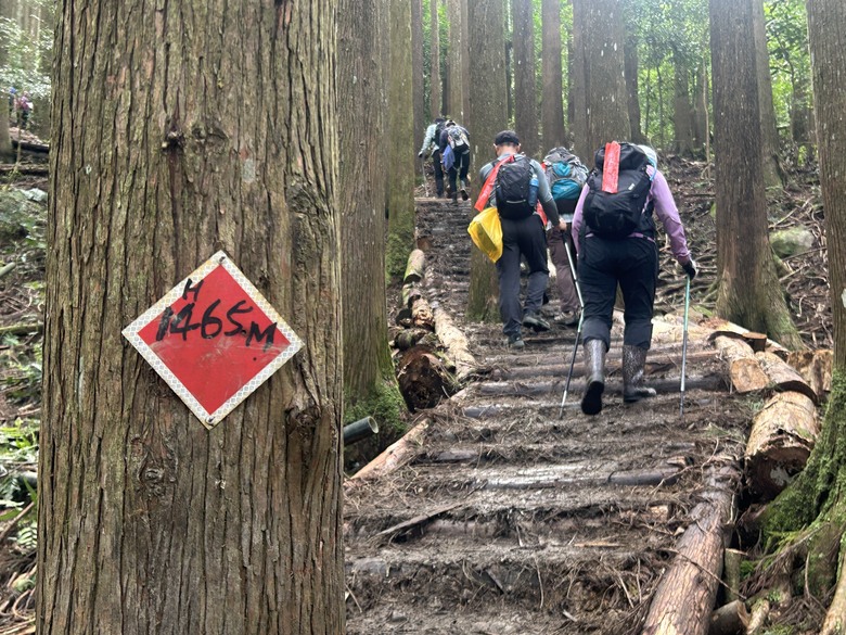 苗 栗 最 高 峰 加 里 山 ( 台 版 富 士 山 )