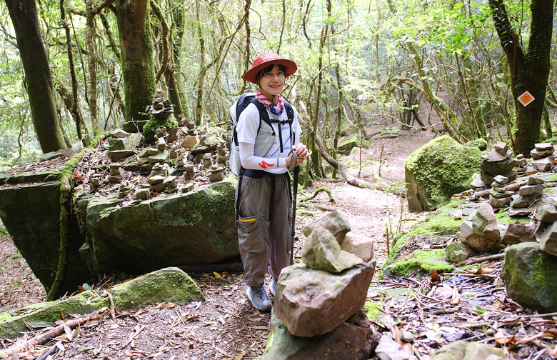 【高島縱走】走進六星級柳杉森林，一日高台山與島田三山