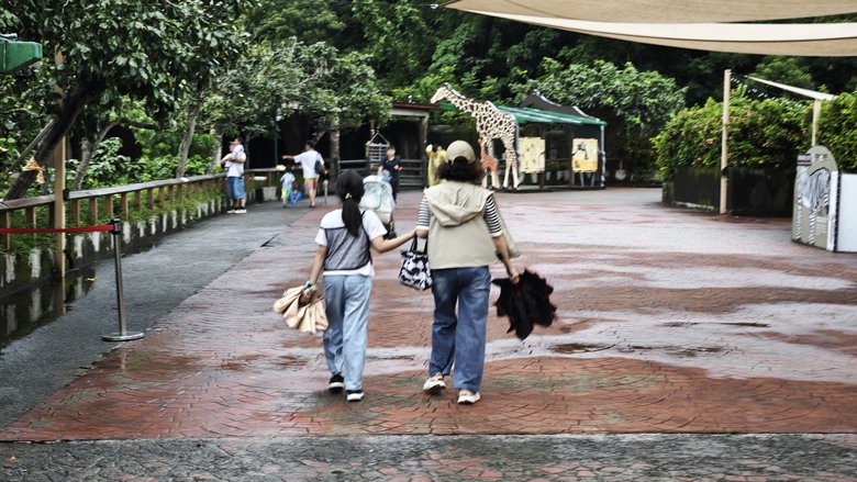 另類的父親節 - 台北市立動物園 "夜之動物園" 遊記分享~