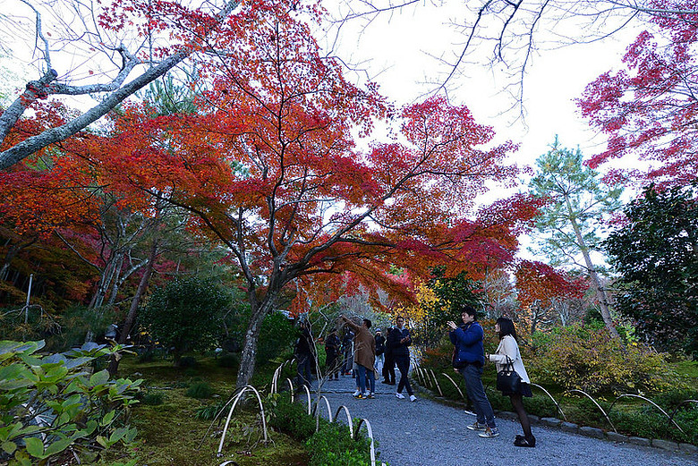 2016 - 秋 - 一個人的旅行 日本關西地區