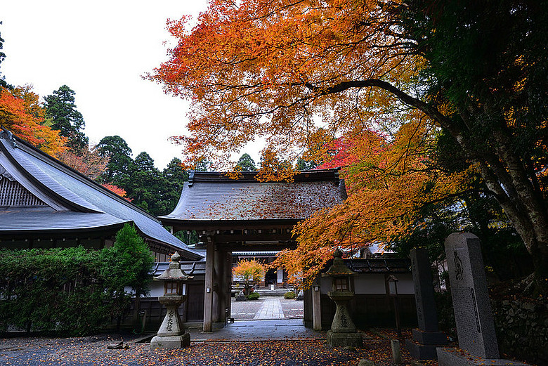 2016 - 秋 - 一個人的旅行 日本關西地區