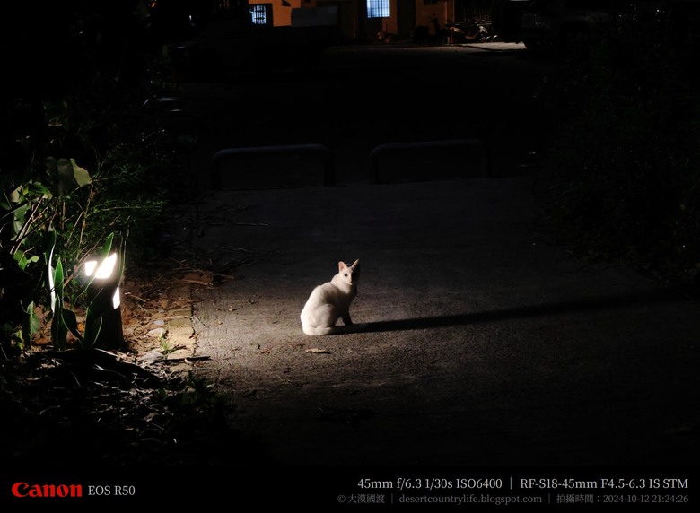 【遊記】重返「南濱公園」，體驗沒有喧囂「夜市」的新生活，太平洋公園 ｜ 大漠國渡