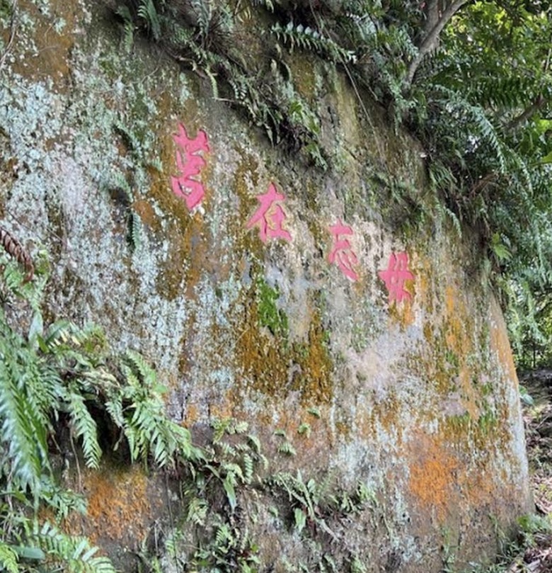 搭 捷 運 登 走 劍 潭 山 親 山 步 道