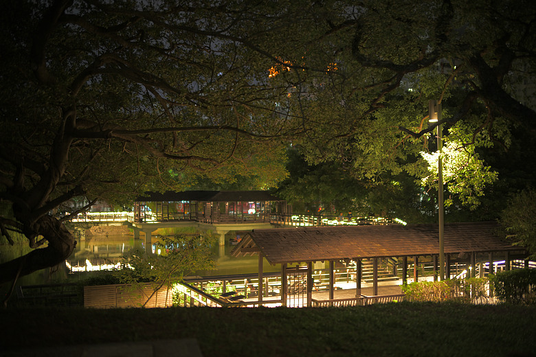 ZF+LAOWA Argus 45mm f/0.95 麗池-夜