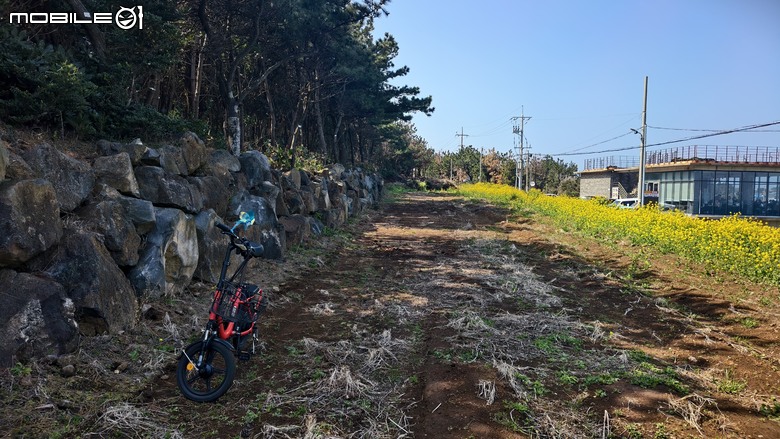 韓國濟州島 | 跳島行程 | 牛島單車環島輕鬆騎