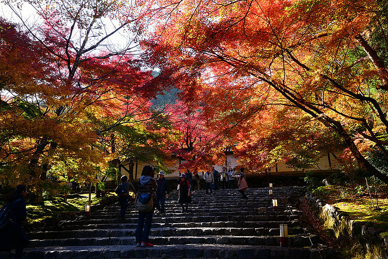 2016 - 秋 - 一個人的旅行 日本關西地區