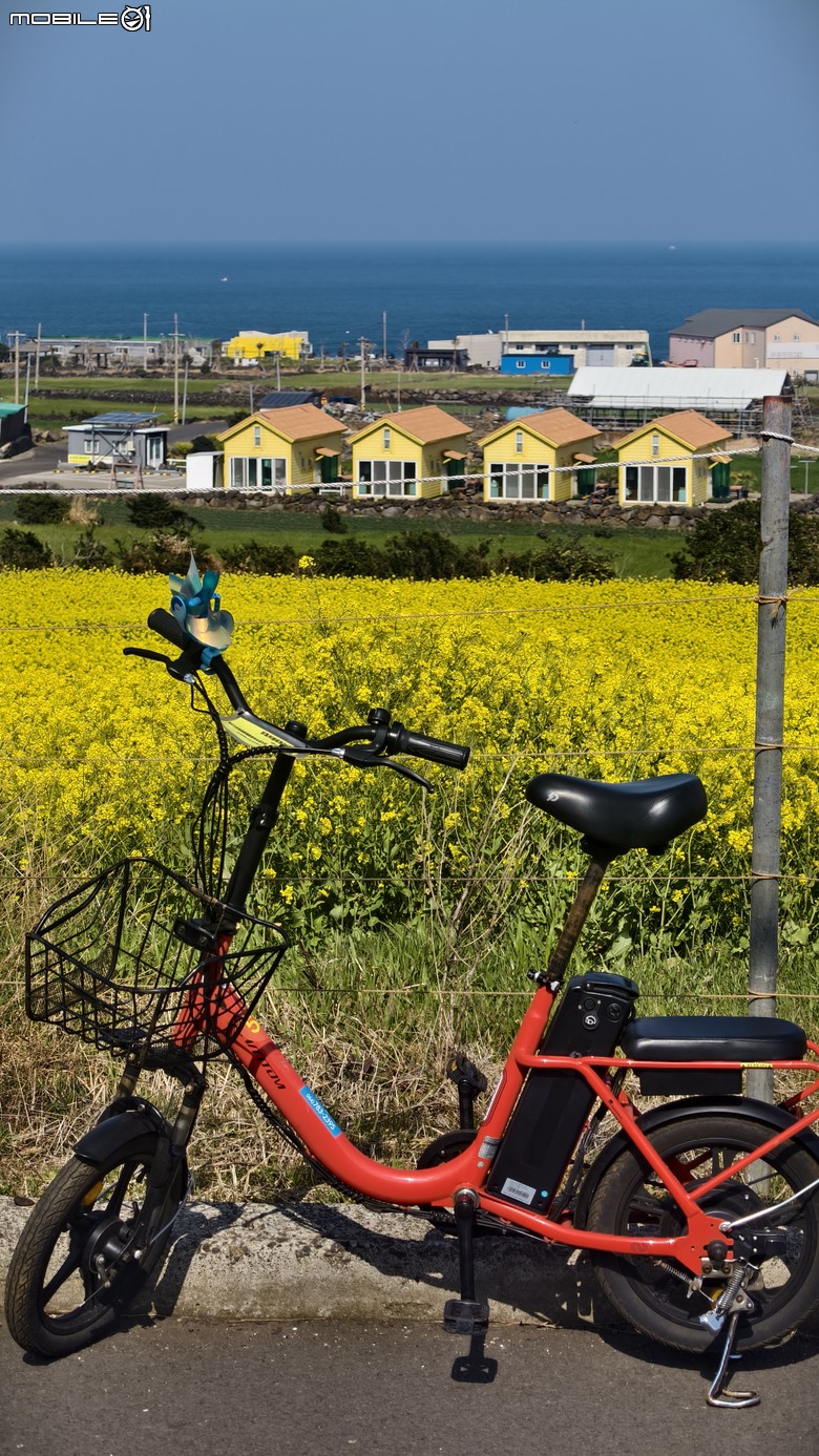 韓國濟州島 | 跳島行程 | 牛島單車環島輕鬆騎