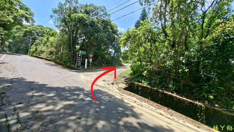 【微笑山線】全新登山步道，大湖之森自然步道，輕鬆健行享受森林浴