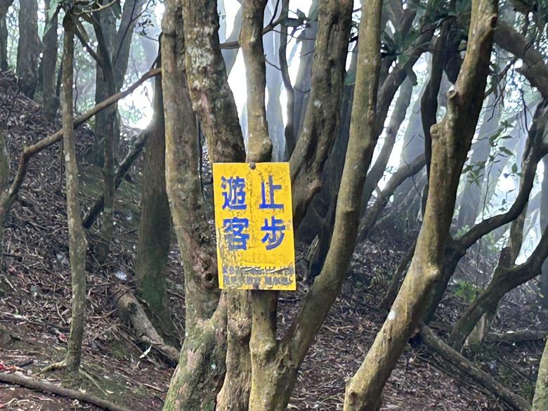 苗 栗 最 高 峰 加 里 山 ( 台 版 富 士 山 )