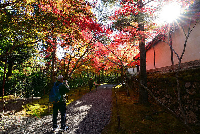 2016 - 秋 - 一個人的旅行 日本關西地區