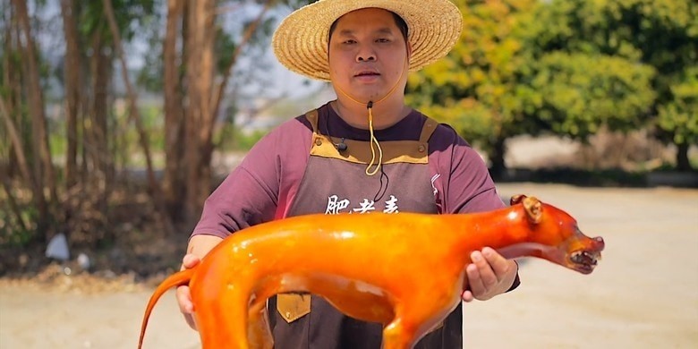 兇狗腿軟，無法站立