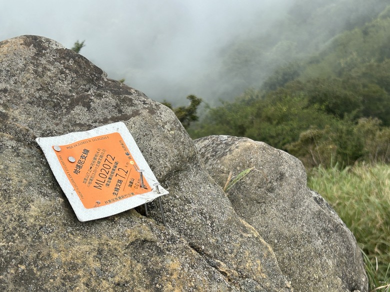 苗 栗 最 高 峰 加 里 山 ( 台 版 富 士 山 )