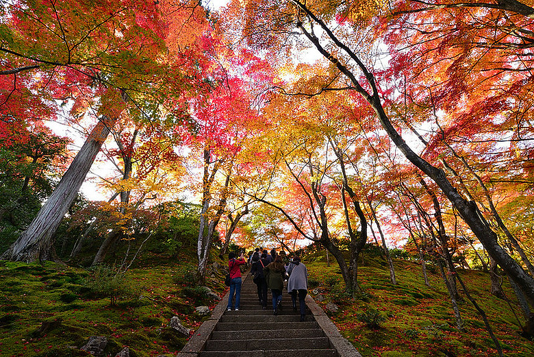 2016 - 秋 - 一個人的旅行 日本關西地區