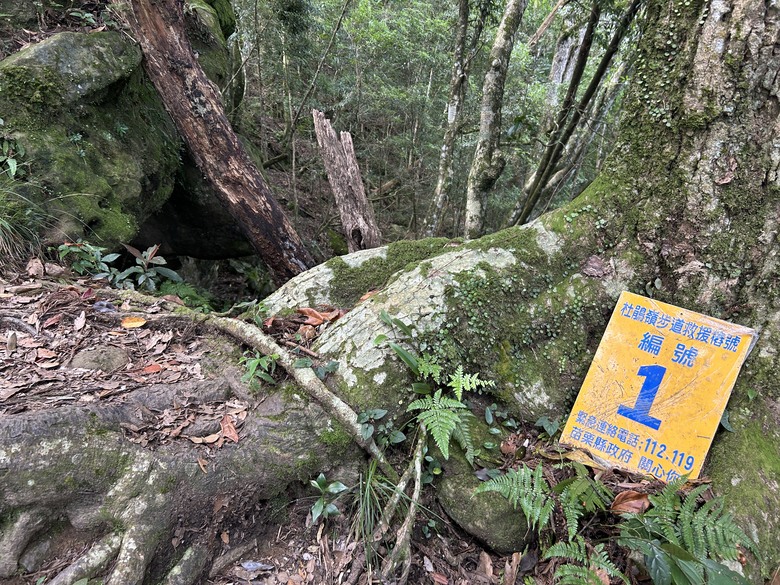 苗 栗 最 高 峰 加 里 山 ( 台 版 富 士 山 )