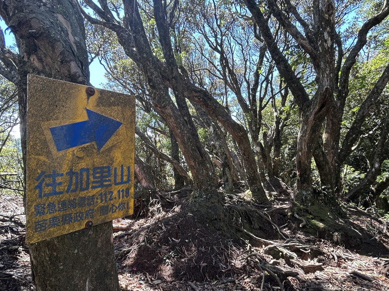 苗 栗 最 高 峰 加 里 山 ( 台 版 富 士 山 )