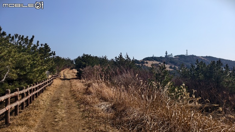 韓國濟州島 | 跳島行程 | 牛島單車環島輕鬆騎
