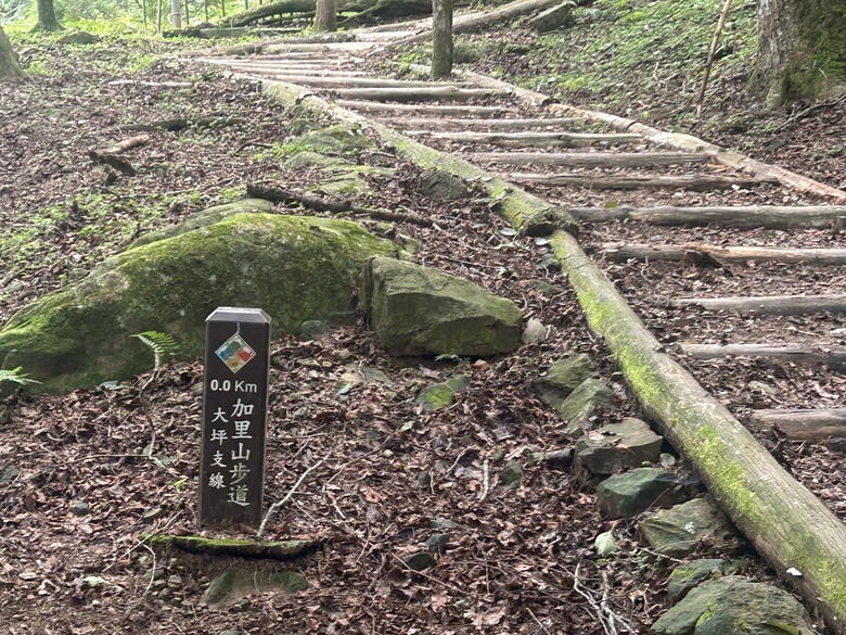 苗 栗 最 高 峰 加 里 山 ( 台 版 富 士 山 )