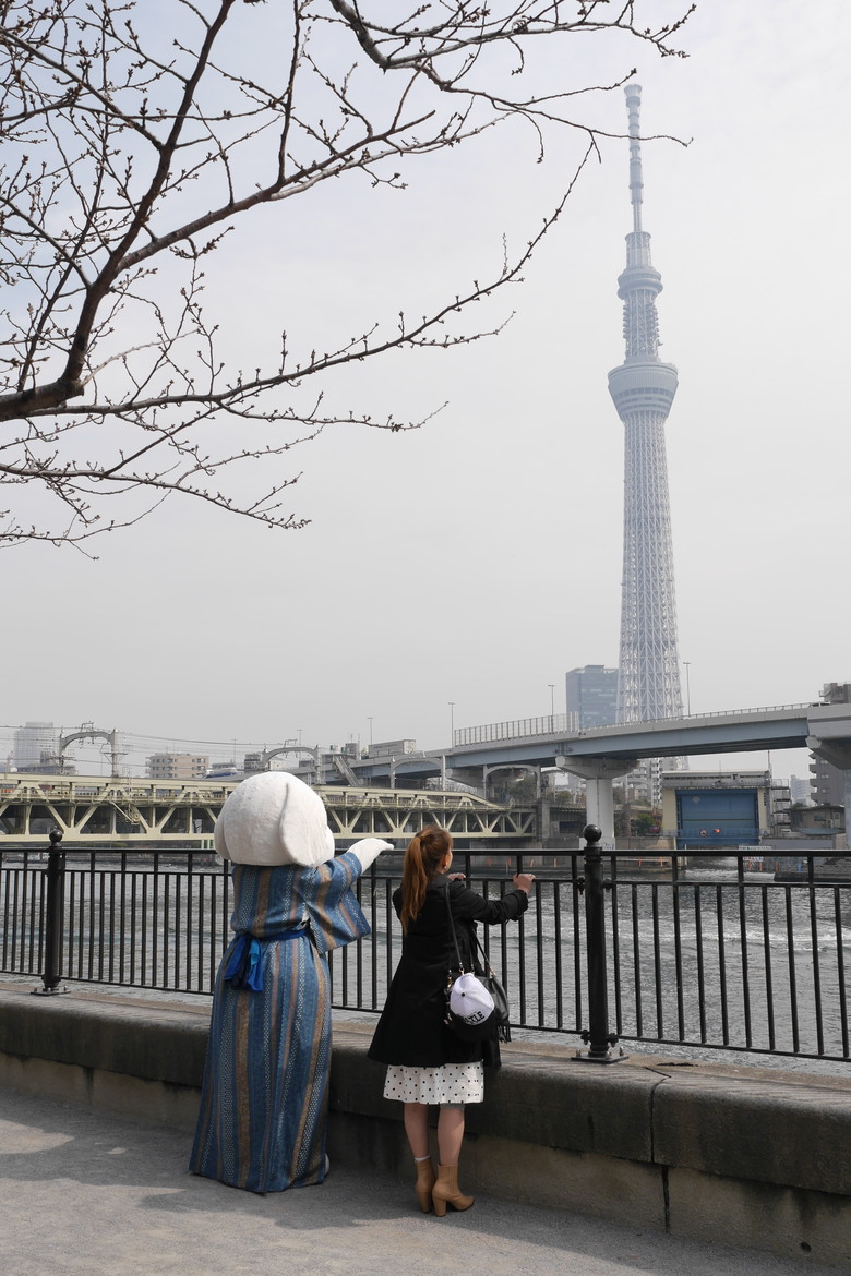 東京的旅遊紀錄 淺草 銀座 東京鐵塔 東京都廳