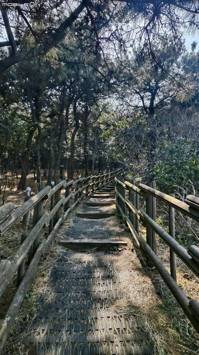 韓國濟州島 | 跳島行程 | 牛島單車環島輕鬆騎