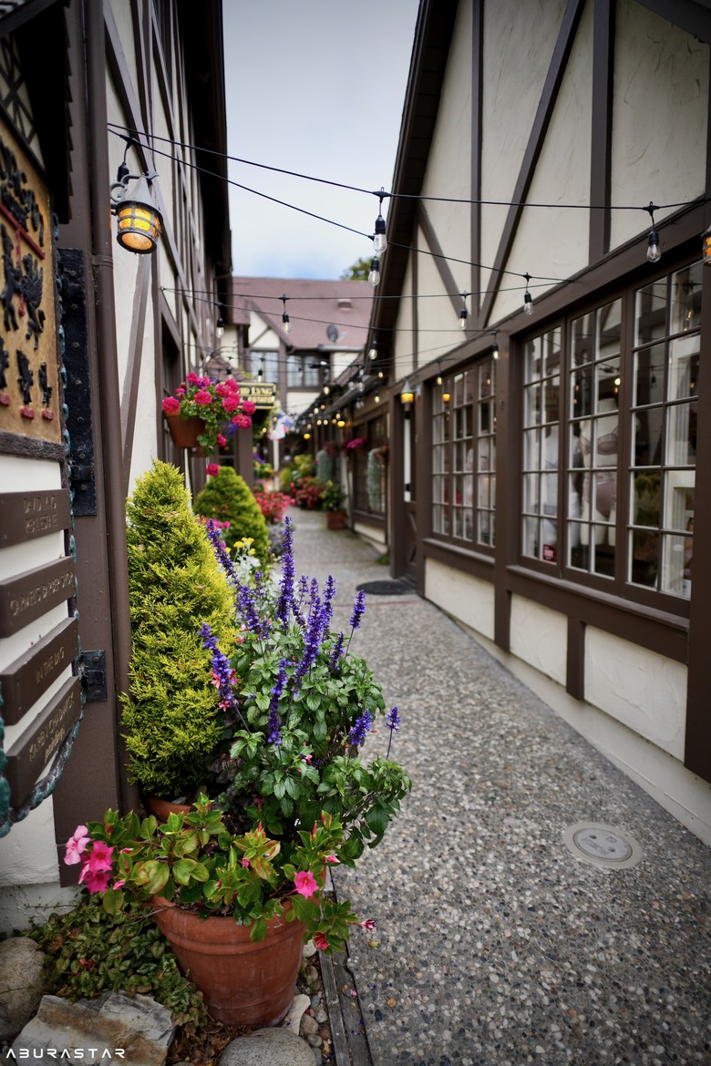 心得分享 ：Voigtlander Nokton 21mm/F1.4 搭Sony A7CR