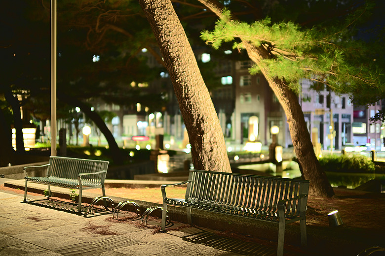 ZF+LAOWA Argus 45mm f/0.95 麗池-夜