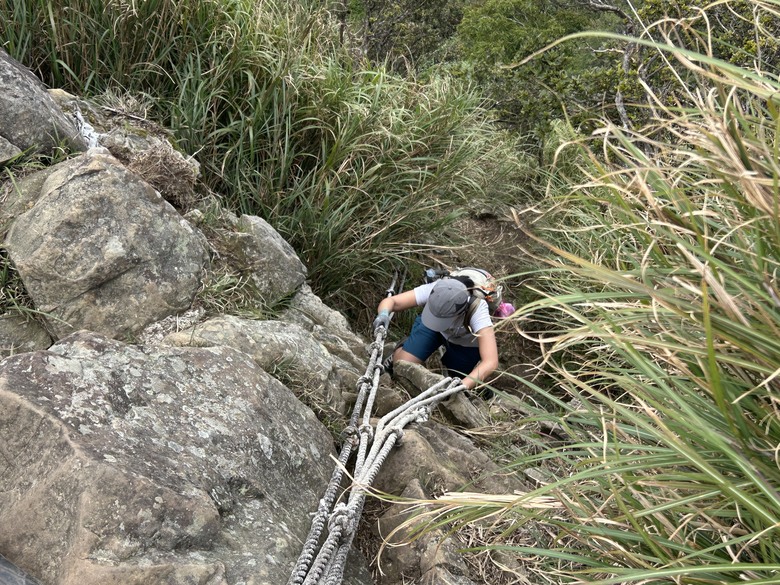 苗 栗 最 高 峰 加 里 山 ( 台 版 富 士 山 )