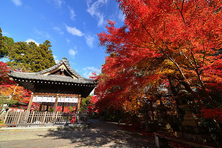 2016 - 秋 - 一個人的旅行 日本關西地區