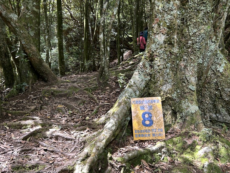 苗 栗 最 高 峰 加 里 山 ( 台 版 富 士 山 )